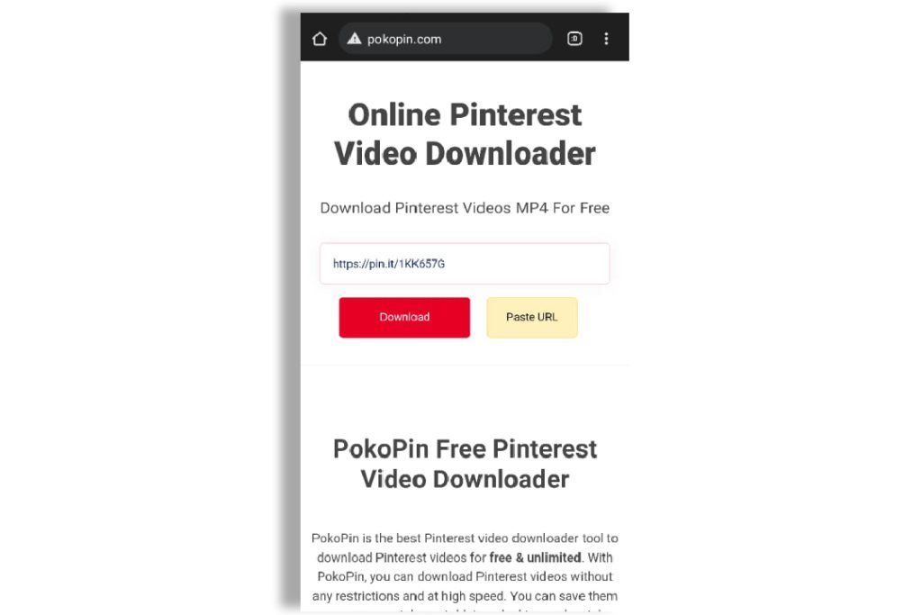 Pinterest Video Downloader Online