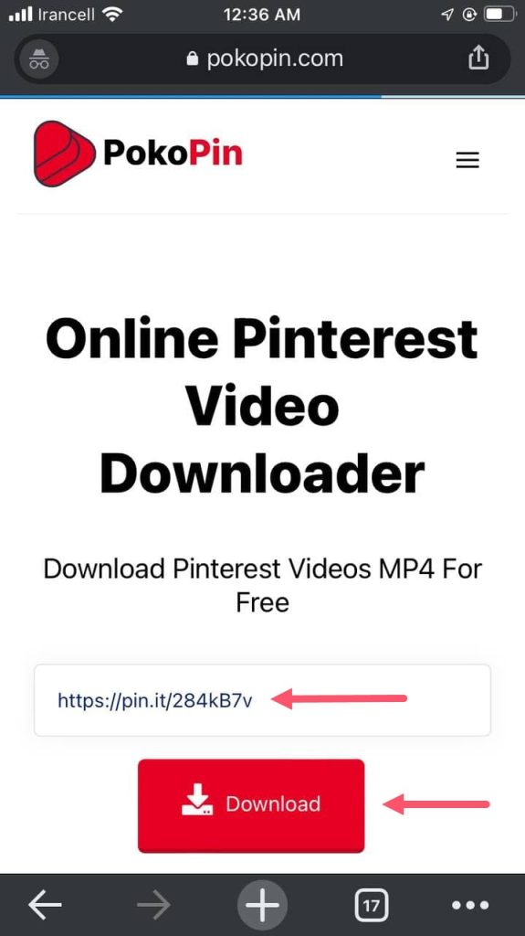 Pinterest Video Downloader - Pinterest Video Download Online